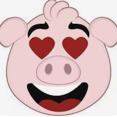 Mr. Mangalica (pro) 